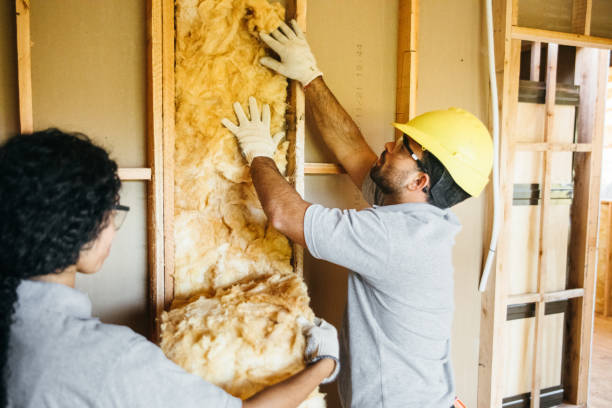 Best Insulation Contractors for Homes  in Mechanicsburg, PA