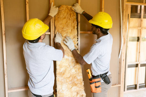 Best Crawl Space Insulation  in Mechanicsburg, PA